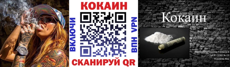Cocaine Fish Scale  ОМГ ОМГ онион  Покров 