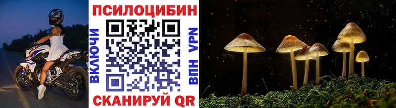 Псилоцибиновые грибы MAGIC MUSHROOMS  Покров 